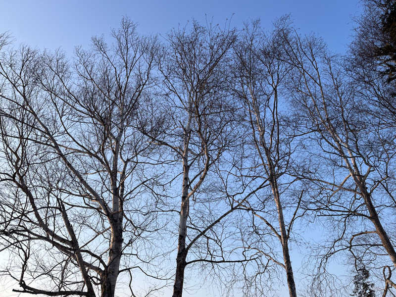 かさんのKushiro Marshland Hostel THE GEEKのサ活写真
