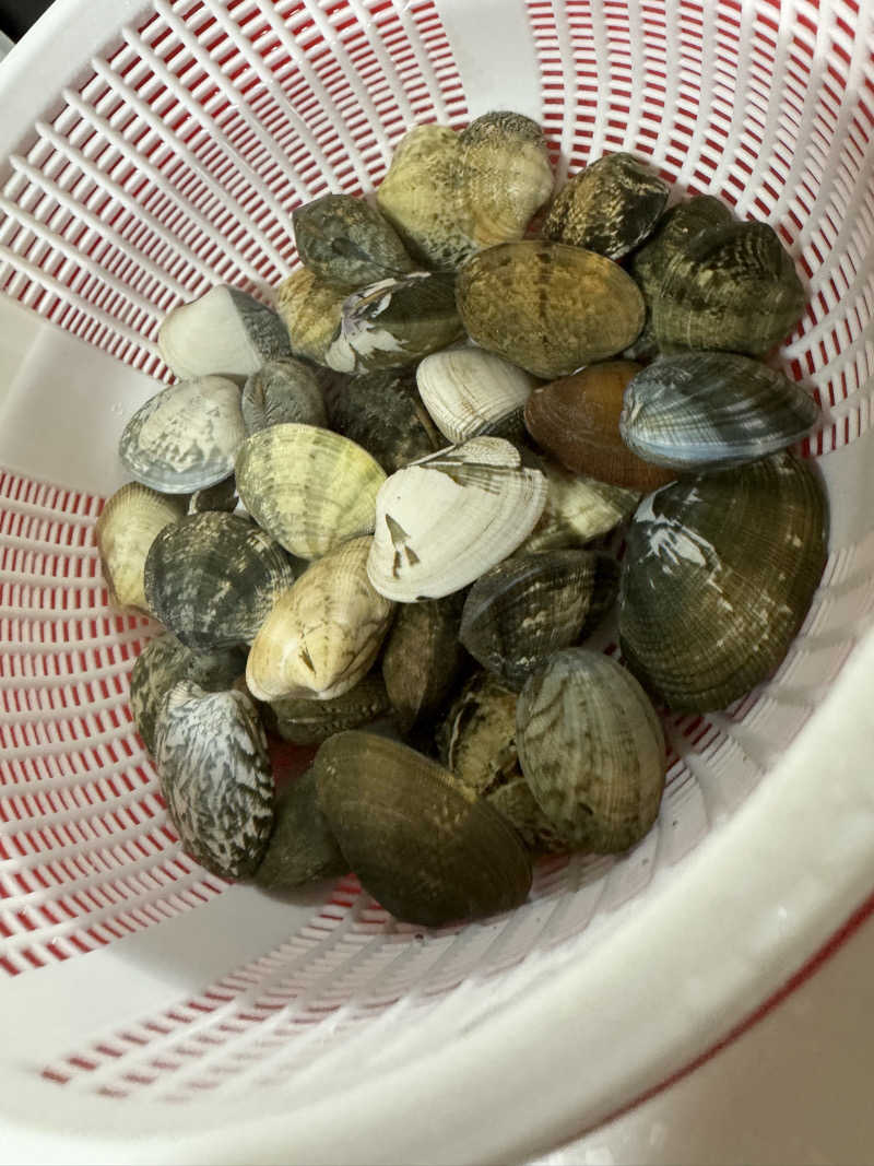 イッシーさんの毎日サウナ 前橋本店のサ活写真