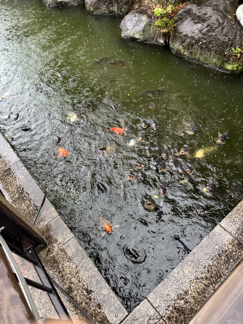 イッシーさんの粕川温泉元気ランドのサ活写真