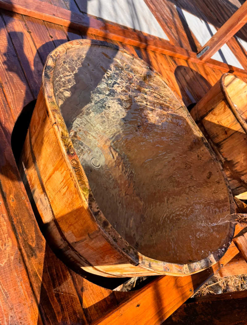 イッシーさんのサウナの森 水沼ヴィレッジのサ活写真