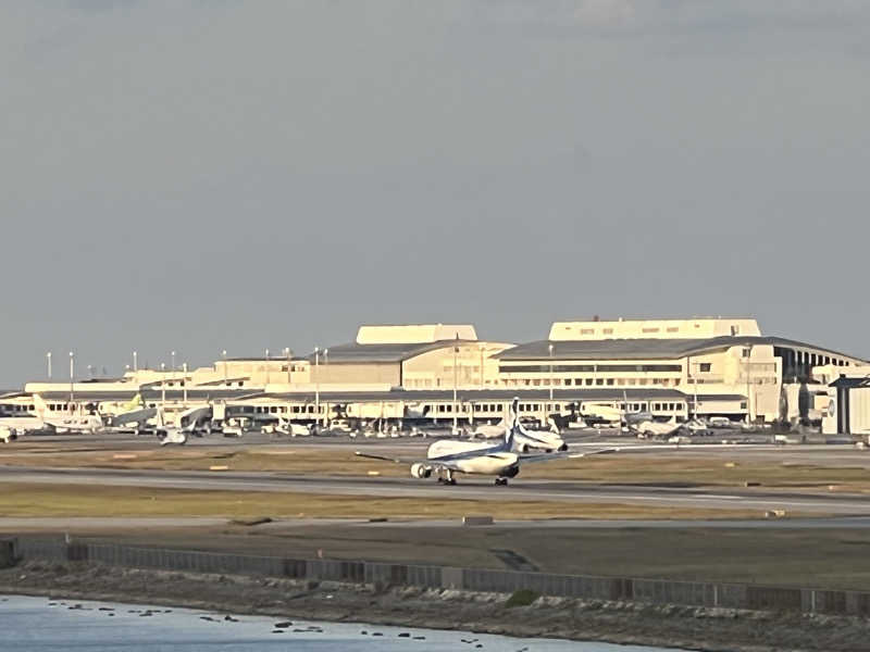 くいしん坊萬斎さんの琉球温泉 龍神の湯のサ活写真