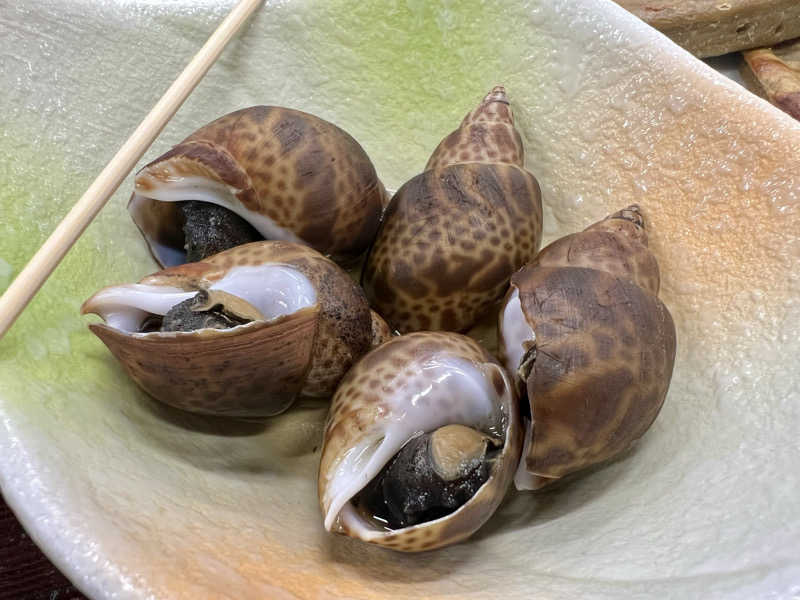 くいしん坊萬斎さんの駿河健康ランドのサ活写真