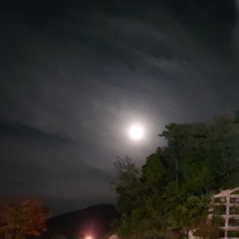 やまなるさんのホテル シルク温泉やまびこのサ活写真