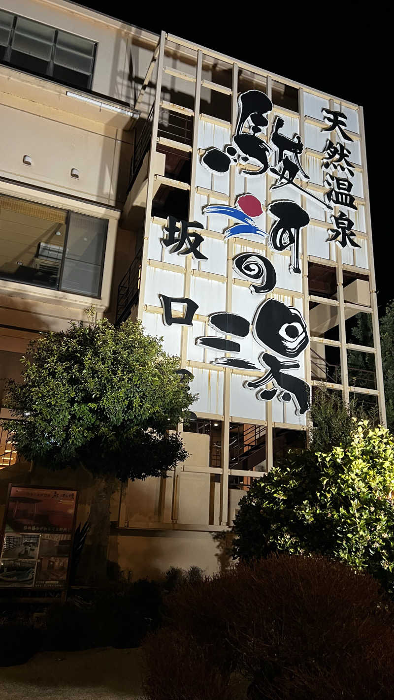 パインさんの駿河の湯 坂口屋のサ活写真