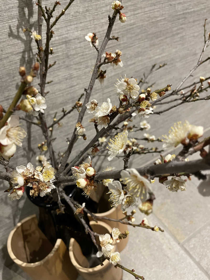 まるこさんの朝日湯源泉ゆいるのサ活写真