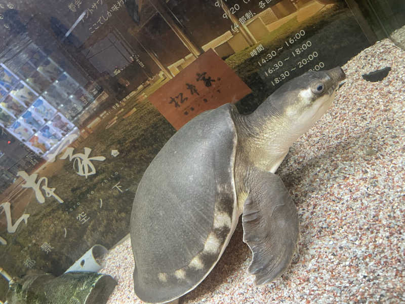 まるこさんの松本湯のサ活写真