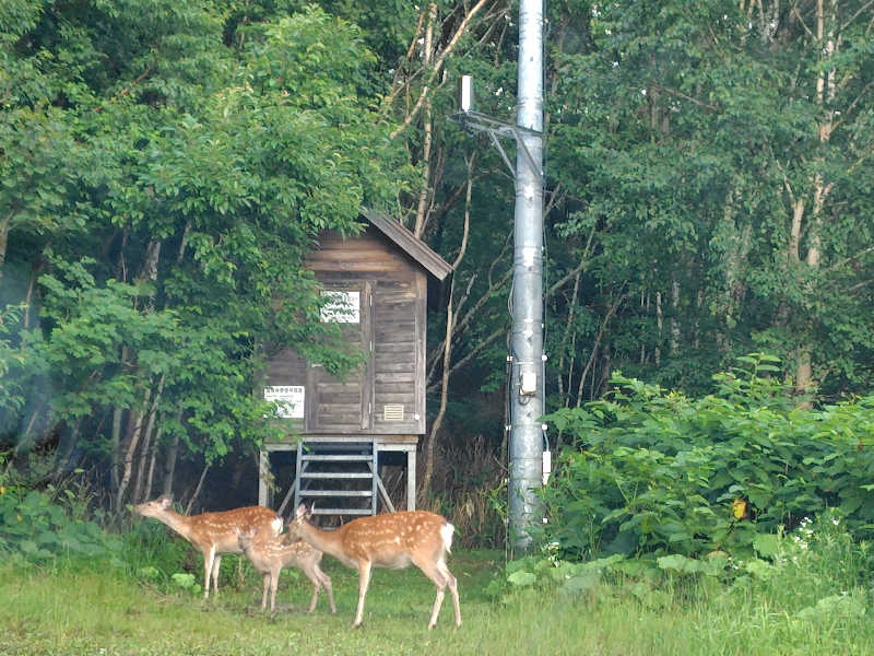 ちゃりんさんの吹上温泉保養センター 白銀荘のサ活写真