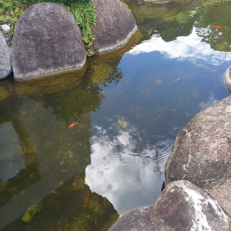 つなまよさんのひがしせふり温泉 山茶花の湯のサ活写真