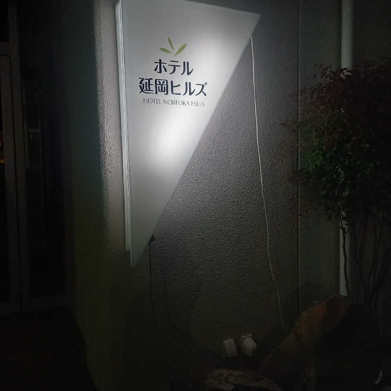 つなまよさんのホテル延岡ヒルズのサ活写真