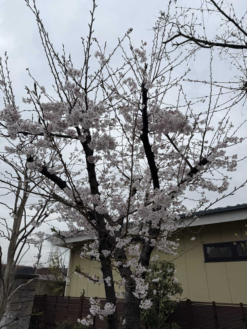 ブラピ５１さんの溝口温泉 喜楽里のサ活写真