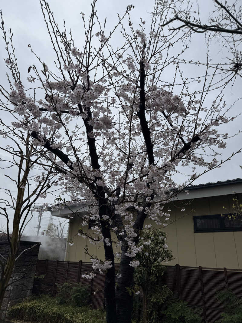 ブラピ５１さんの溝口温泉 喜楽里のサ活写真