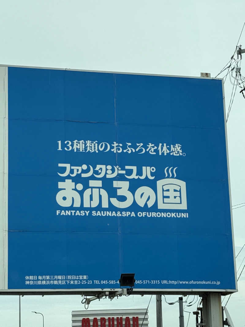 ブラピ５２さんのファンタジーサウナ&スパおふろの国のサ活写真