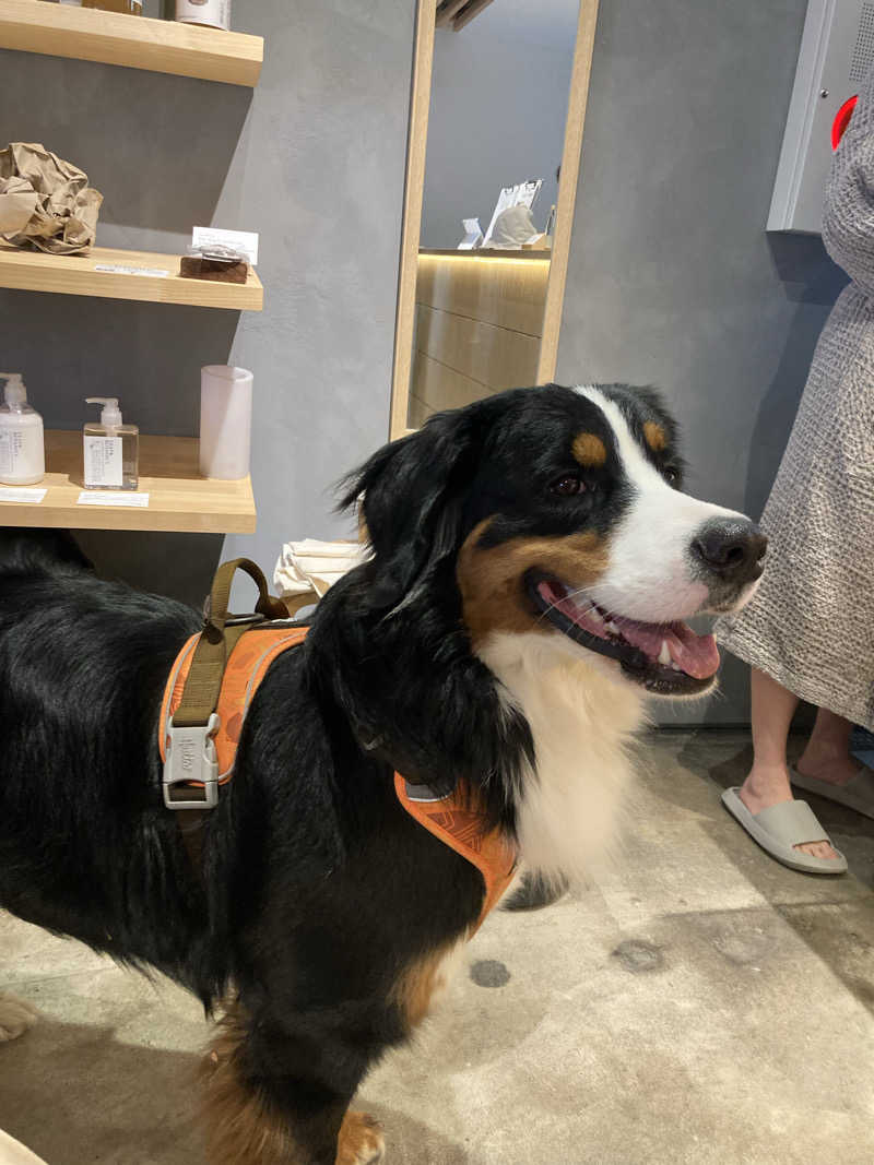 サウ藤さんの軽井沢プライベートアウトドアサウナkaveriのサ活写真