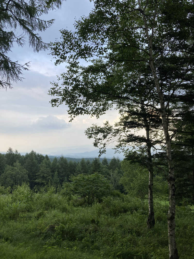 サウ藤さんのSAUNA TEN            "Birch and cloud forest"のサ活写真