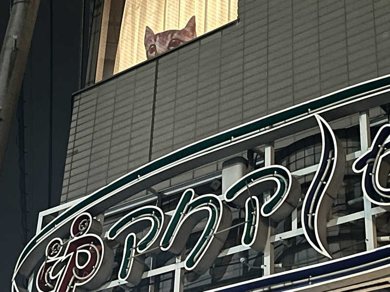 たけるさんのアクアセゾンのサ活写真