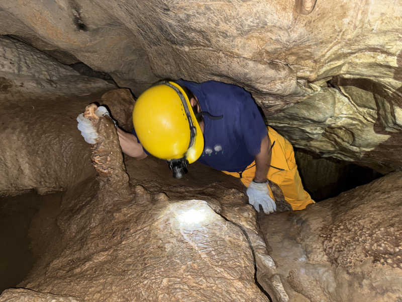 阪井 一生さんの龍河温泉のサ活写真