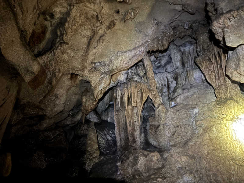 阪井 一生さんの龍河温泉のサ活写真