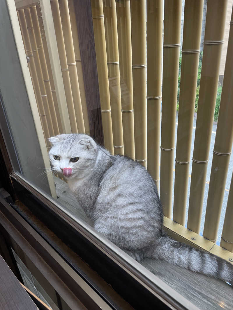 ナオさんのヘルシー温泉タテバのサ活写真