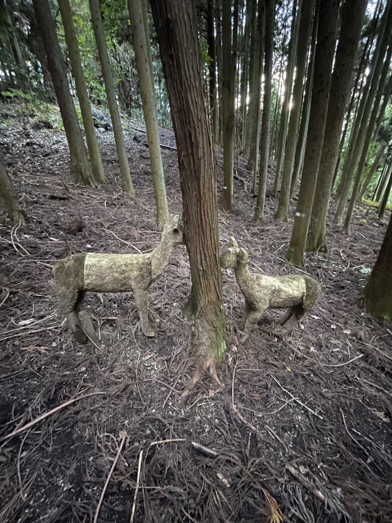 ナオさんの御所宝湯のサ活写真