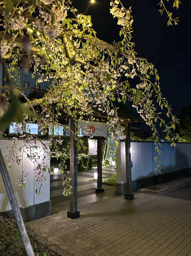 fumiさんの宮の街道温泉 江戸遊のサ活写真