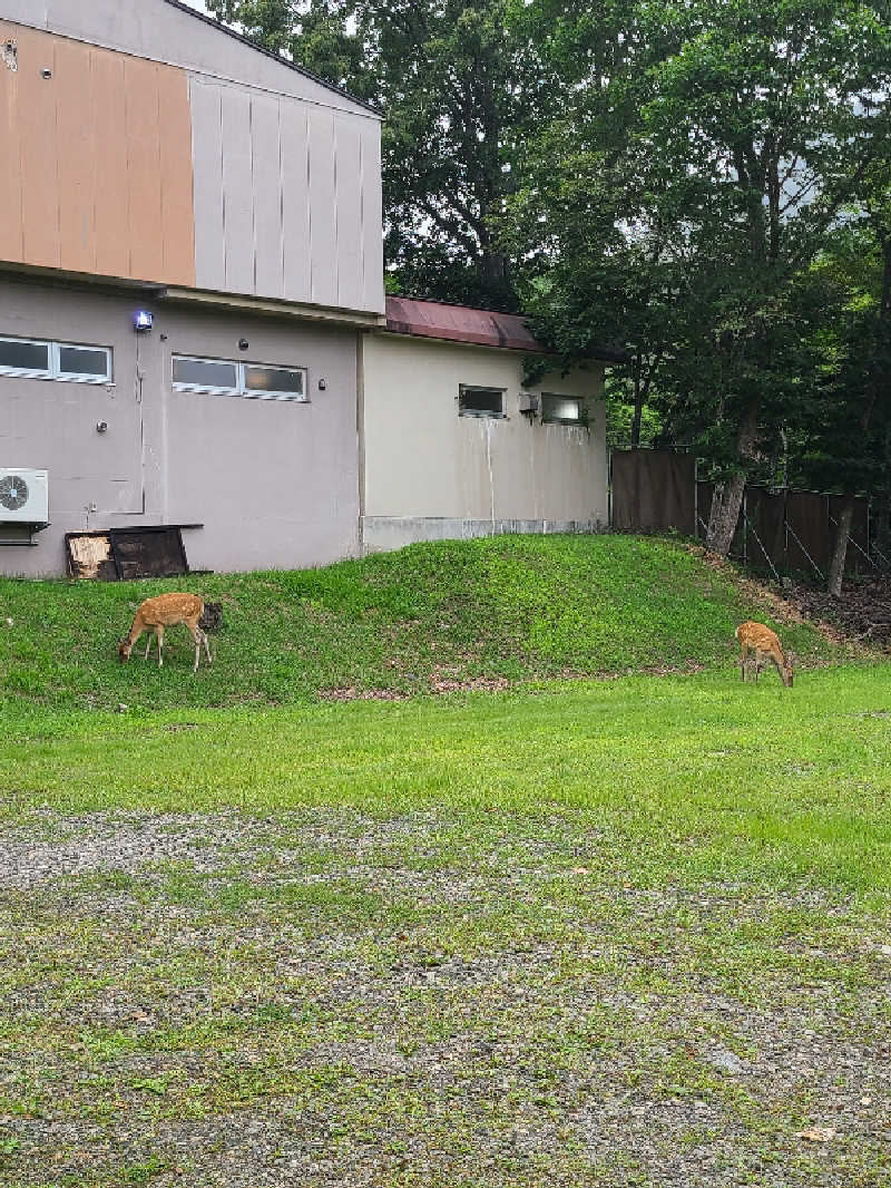 整う笑顔さんの糠平館観光ホテルのサ活写真