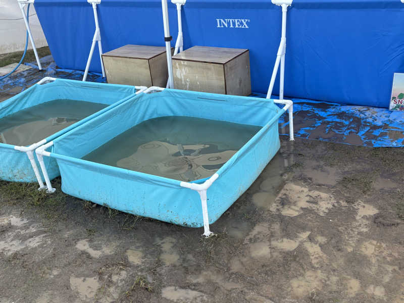 わらじさんのJAPAN SAUNA FESTIVALのサ活写真