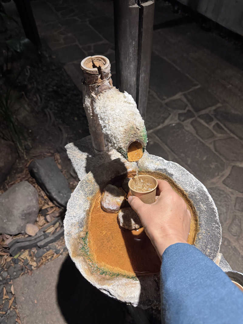 めぐさんの別府鉄輪の湯治宿 - 柳屋のサ活写真