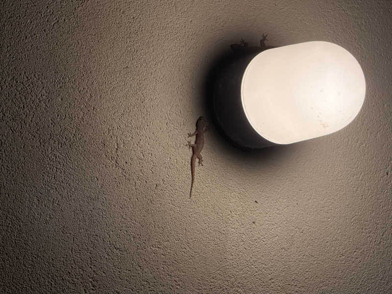 aGさんのザ・リッツカールトン沖縄のサ活写真