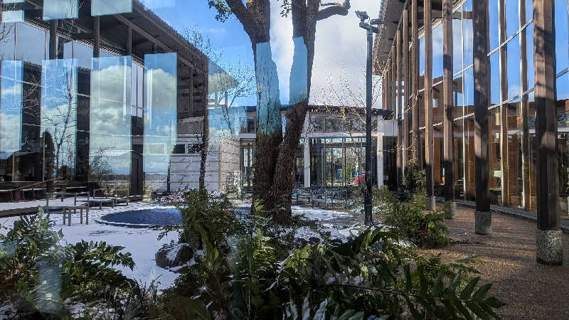 HKさんのカーブドッチヴィネスパのサ活写真