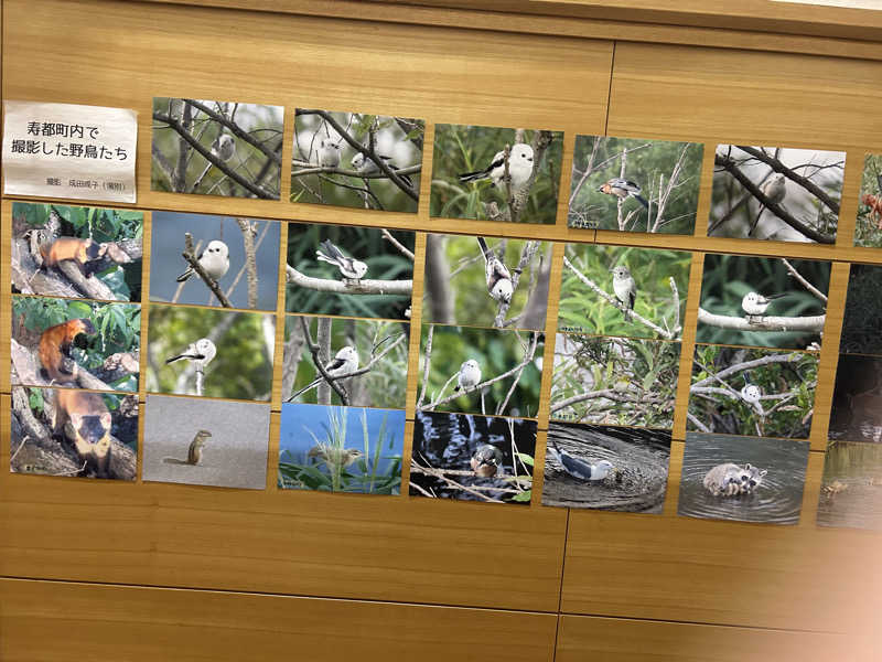 石鯛さんの寿都温泉ゆべつのゆのサ活写真