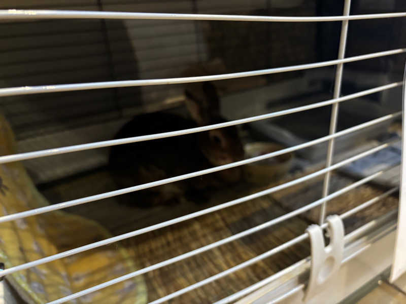 マルタイさんの深大寺天然温泉 湯守の里のサ活写真