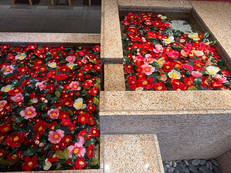 かとちんさんの綱島源泉 湯けむりの庄のサ活写真