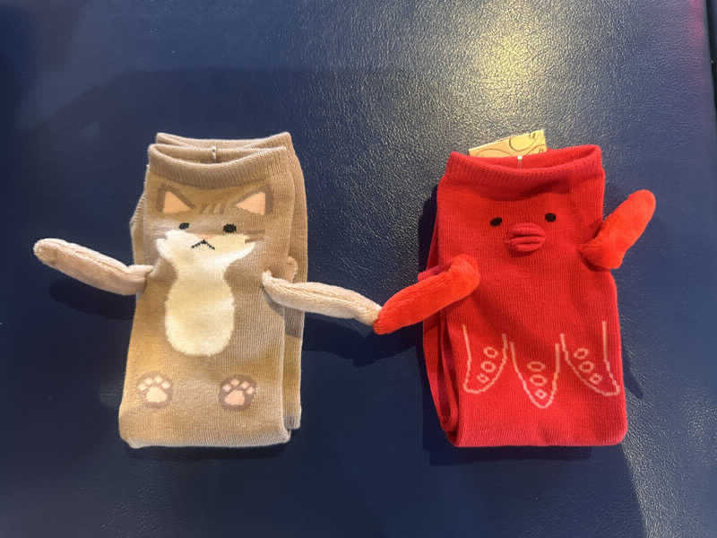 かとちんさんのファンタジーサウナ&スパおふろの国のサ活写真
