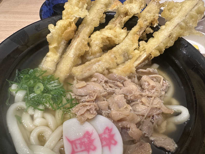 かとちんさんの綱島源泉 湯けむりの庄のサ活写真