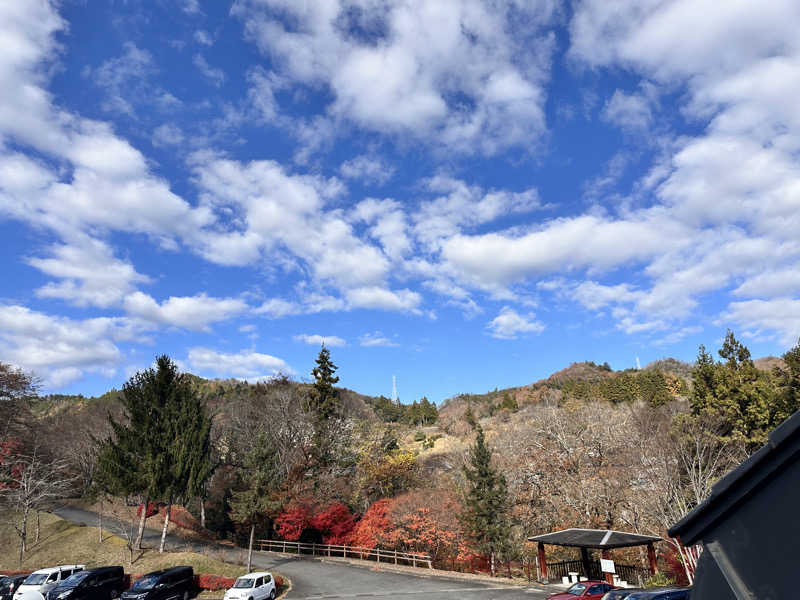 かとちんさんの秋山温泉のサ活写真