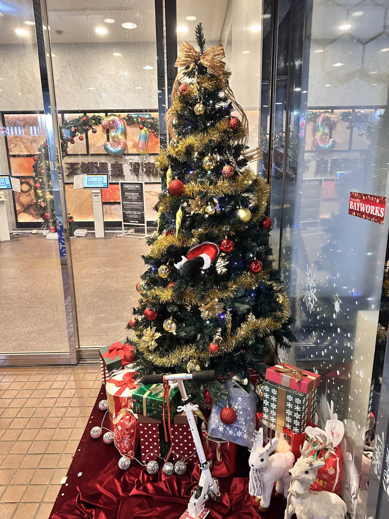 かとちんさんの天然温泉 平和島のサ活写真