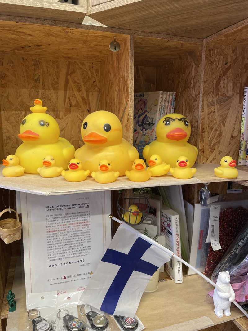 @サウナ.レイカ女性も行けるサウナでサ活さんの辰巳温泉のサ活写真