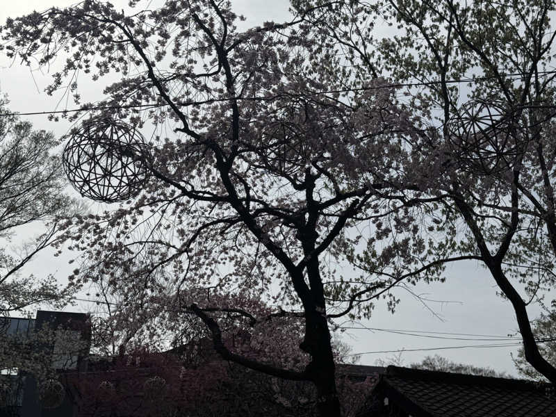 たけそのさんのよみうりランド眺望温泉 花景の湯のサ活写真
