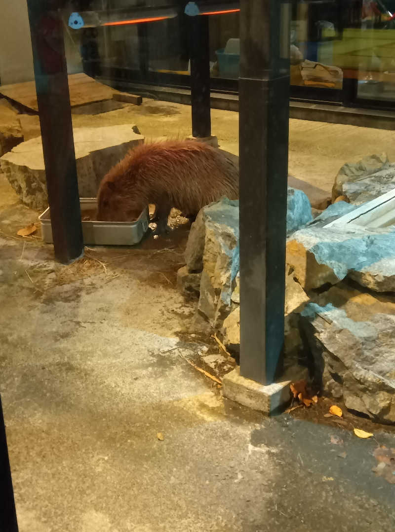 ぱーさんさんの石狩天然温泉 番屋の湯のサ活写真