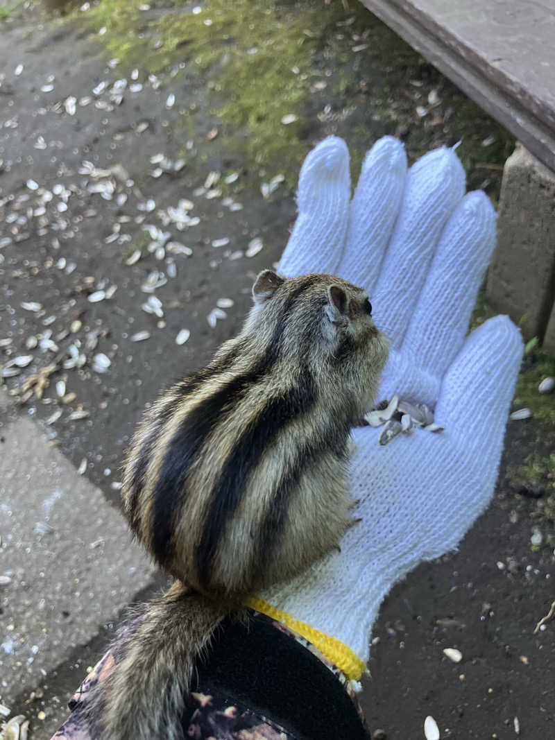 ニワカサウナーさんの北天の丘 あばしり湖鶴雅リゾートのサ活写真