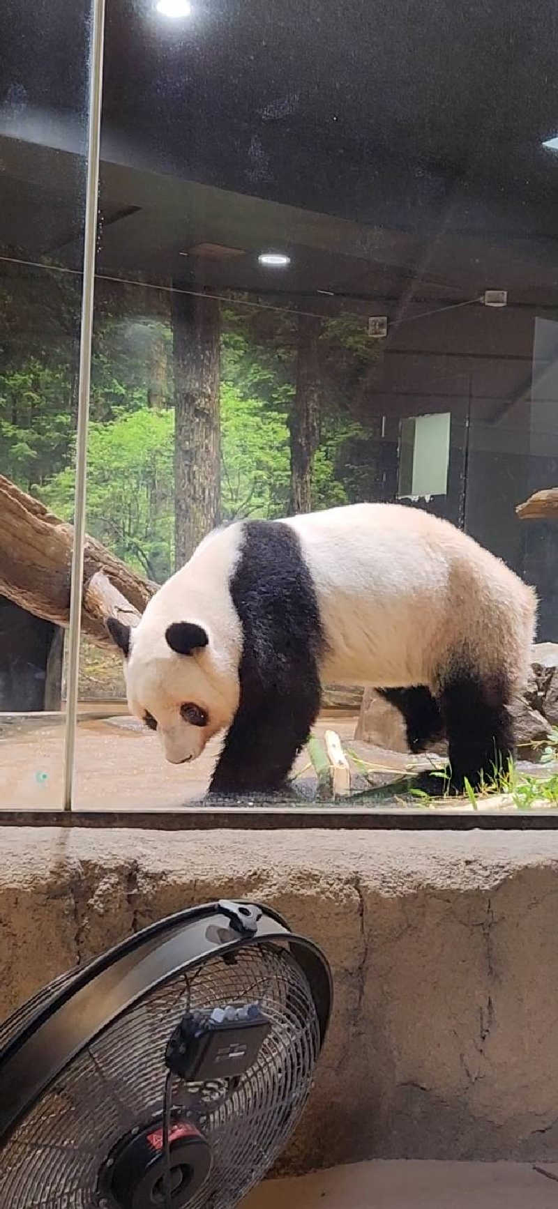 しぉぽんさんの山梨泊まれる温泉 より道の湯のサ活写真