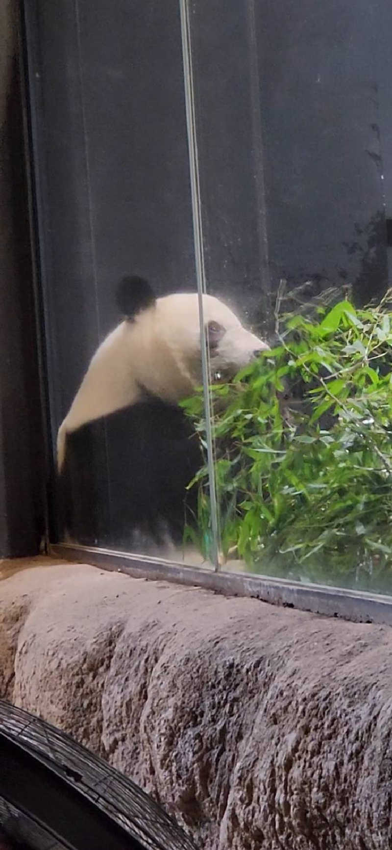 しぉぽんさんの山梨泊まれる温泉 より道の湯のサ活写真