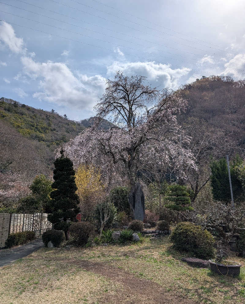 しぉぽんさんの不二ホテルのサ活写真