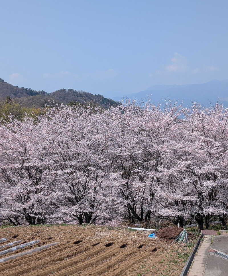 しぉぽんさんのみはらしの丘 みたまの湯のサ活写真