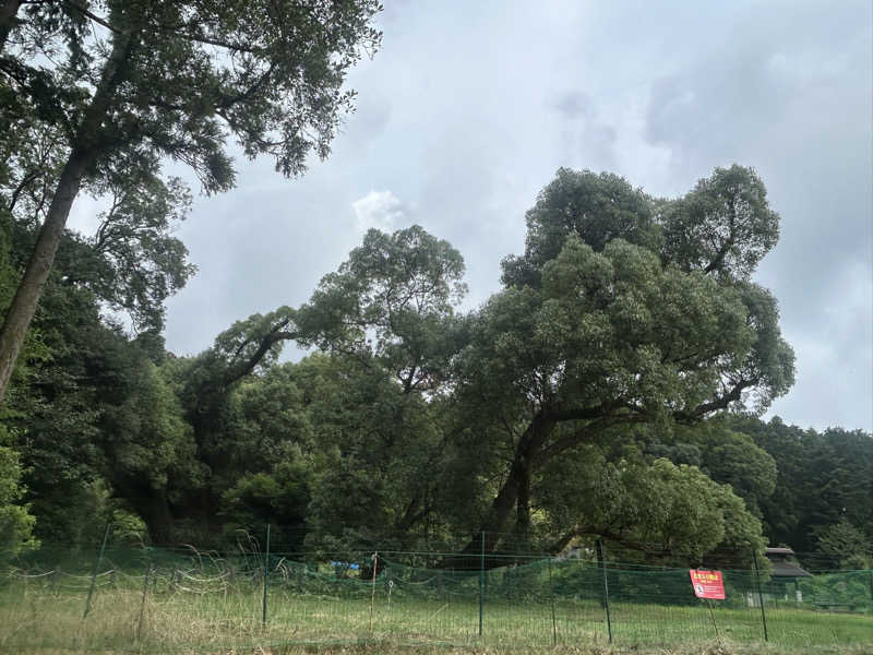 メイケイエールさんの一の俣温泉グランドホテルのサ活写真