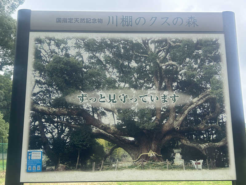 メイケイエールさんの一の俣温泉グランドホテルのサ活写真