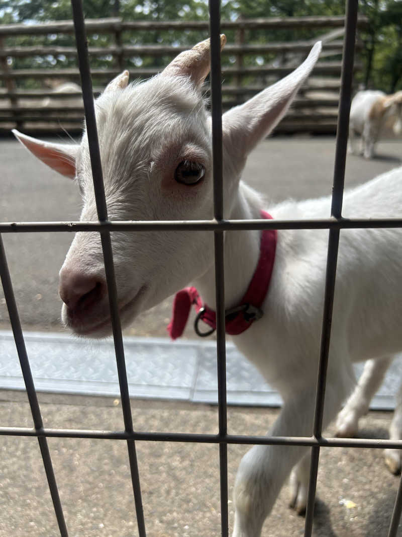 メイケイエールさんのヌクヌクの湯のサ活写真