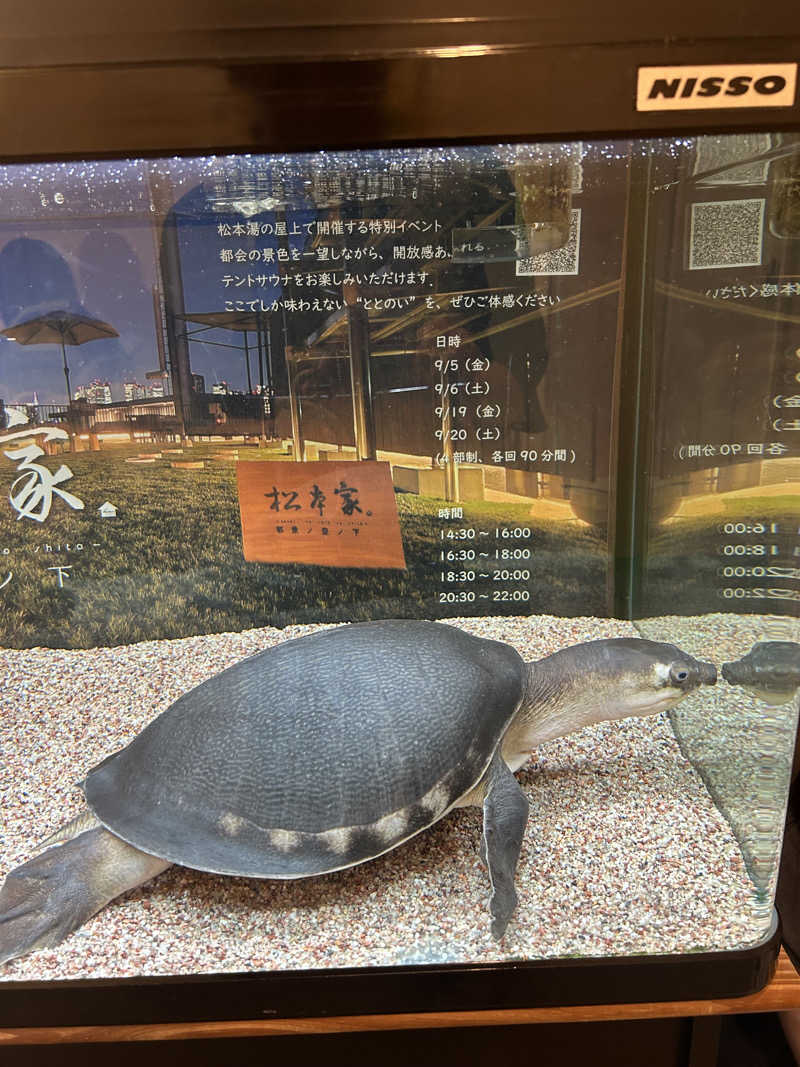 メイケイエールさんの松本湯のサ活写真