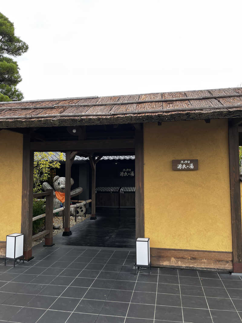 メチャガワさんのスッカマ 源氏の湯のサ活写真