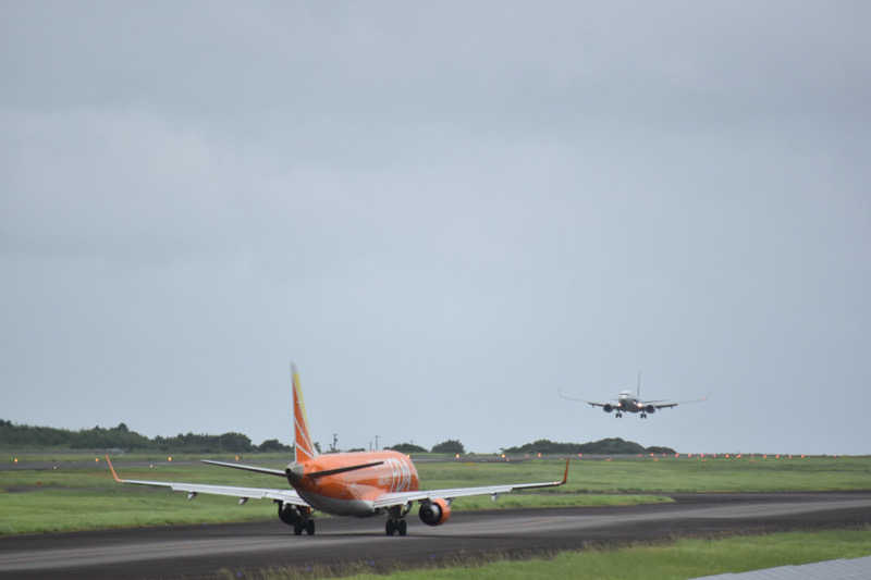 ティムさんの御胎内温泉健康センターのサ活写真